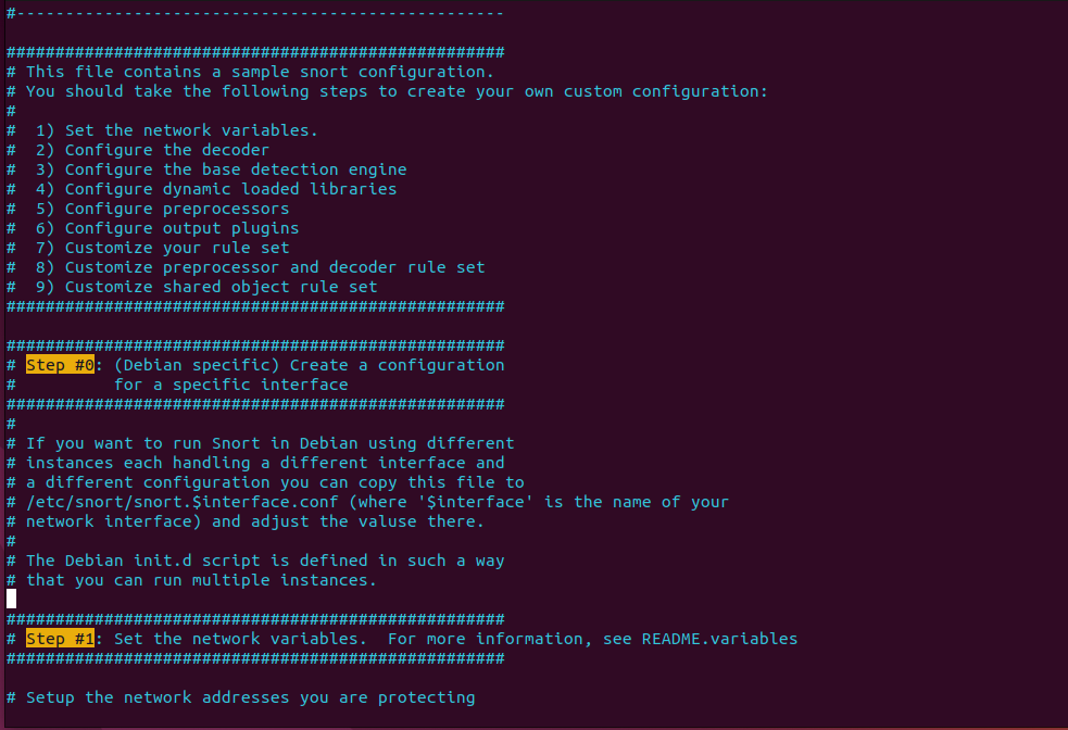 Installing and Configuring Snort